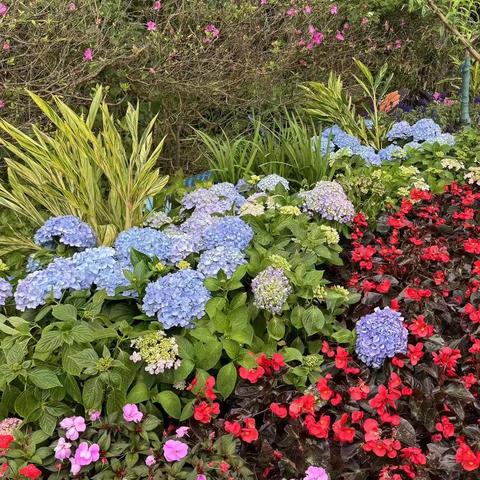 探花径寻洞天仙踪，访美庐觅古韵悠长