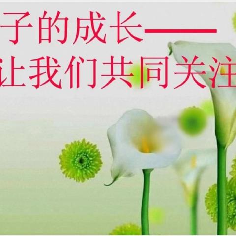 “同心共育，合力致远”家长会 ——固城店中心小学三（1）班