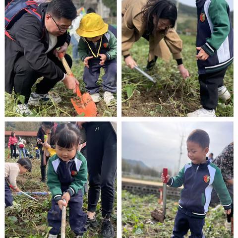 重庆黄桷坪幼儿园小班｜“童”行田园 快乐“研”途