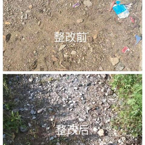 “干净山阳 ”西照川镇环境检查曝光台（5月26日）