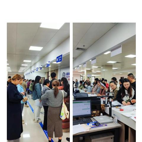 11月4日工作动态