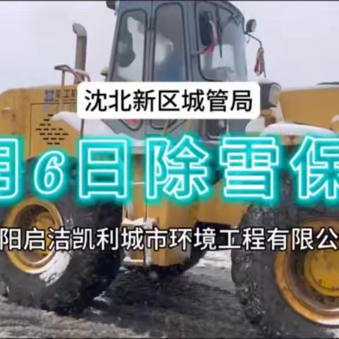 沈阳启洁凯利|迎战初雪不惧寒，奋力除雪保畅通！