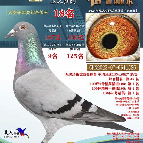 用户16998932的简篇