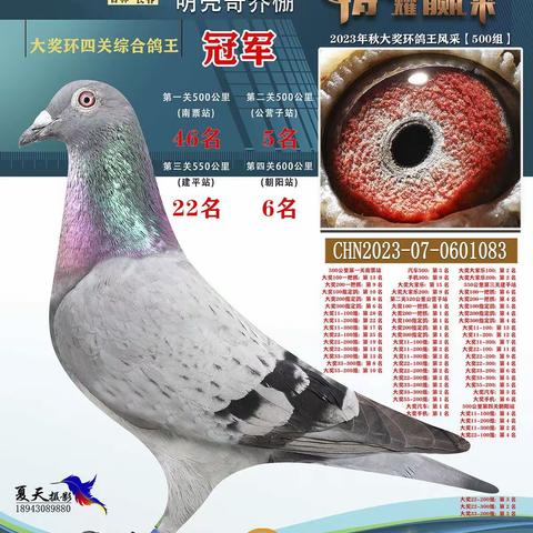 用户16998932的简篇