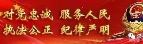 “力学笃行，行稳致远”第四期司晋督培训班汉中公安党小组开展业务培训