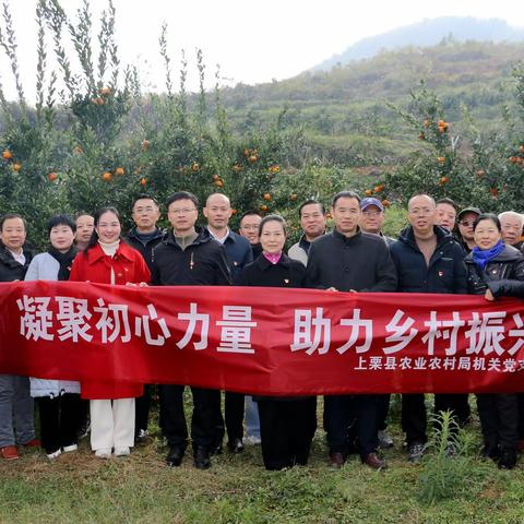 上栗县农业农村局开展凝聚初心力量•助力乡村振兴主题党日活动