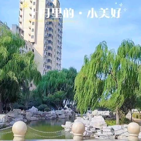 凯程物业舒香苑 10月份工作简报