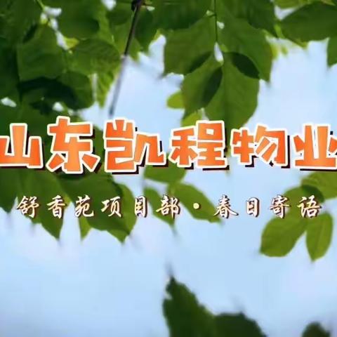 山东凯程物业舒香苑项目部 3月工作简报