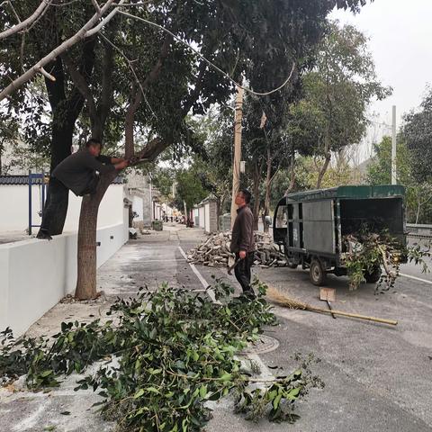 洪河村乡村建设进行中