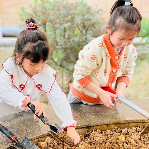 播种绿色 拥抱春天 田东县第五幼儿园植树节劳动实践活动