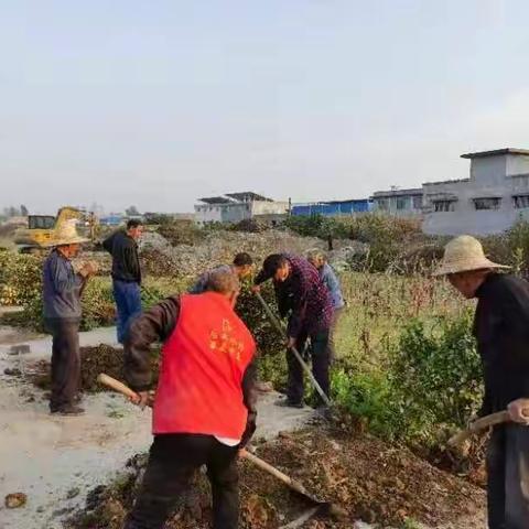 【简篇】后卓水村委组织道路绿化