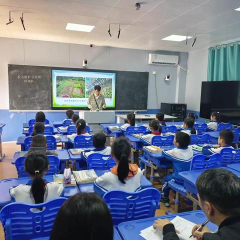 以赛促研——七坊镇中心学校                         数学田园课程赛课活动