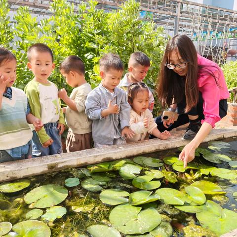 【班级总结】从春日萌芽到盛夏绽放：葛村新苑托一班宝贝们的成长记录