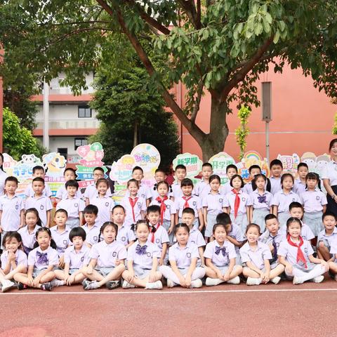 蒲公英中队一周小结