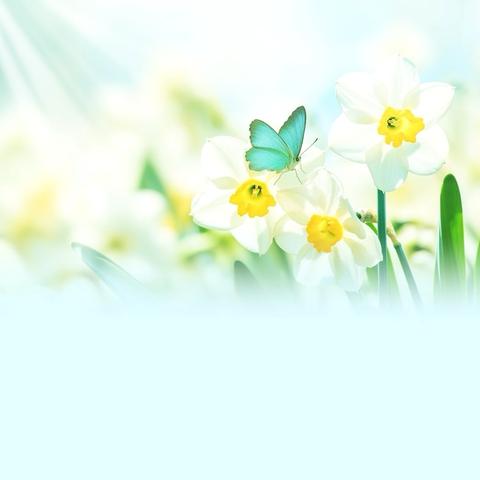 风起蒲公英：和我们的二〇二五说再见啦