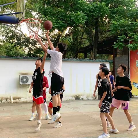 校园篮球比赛🏀