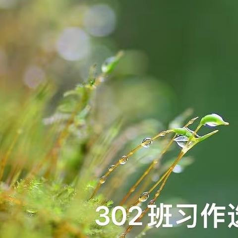 如米苔花开一一302班学生习作（八）