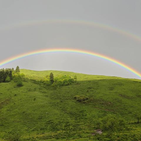 恰盖梁林务所六月份森林防火、禁种铲毒工作简报