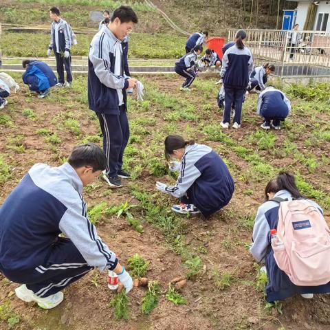 劳动砺心志，实践促成长 —高一（2）班劳动教育