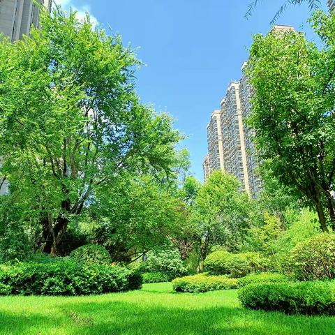 西安恒大都市广场物业服务中心 七月份工作汇报
