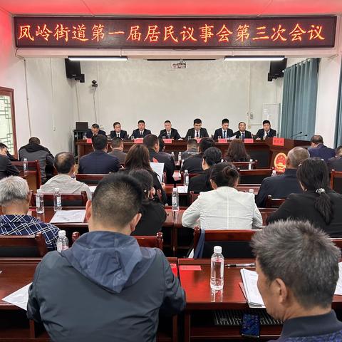 凤岭街道召开第一届居民议事会第三次会议