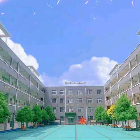 初冬藏暖意，雅行润校园———汝州市向阳小学第十三周工作纪实