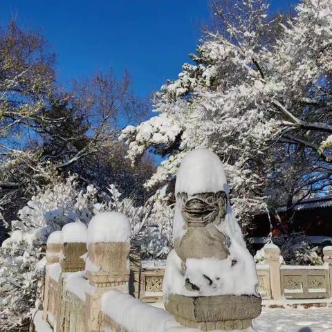 汗水消融冰雪 爱与责任同行