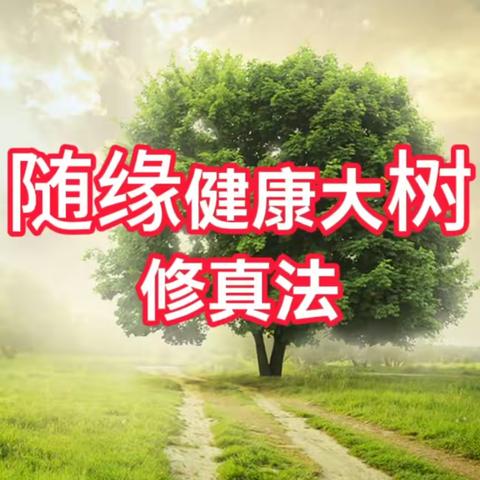 阴阳调和，随缘大树修真法助你找回健康