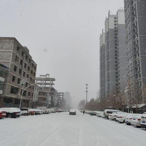 雪花与童趣~朝阳小学一年级9班同学玩雪趣事