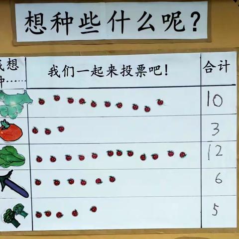 种植课程中推动幼儿发现问题和解决问题的实践研究         班本课程——白菜成长记