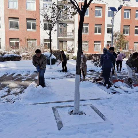 初雪润校园，除雪暖人心——胡台学校劳动除雪记