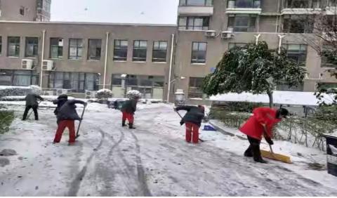 落雪无痕 冷暖相依 大东区除雪活动进展情况