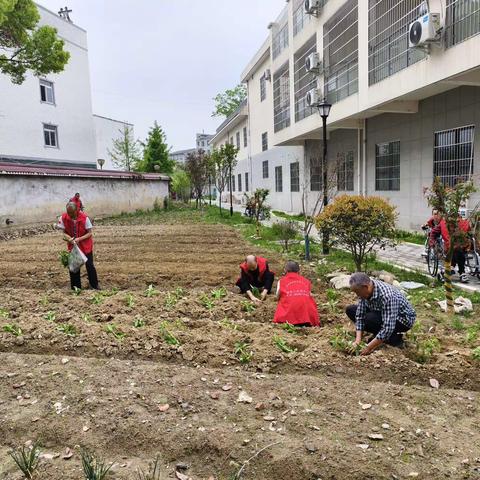 “不负好时光，蔬菜春耕忙”——涪城区残疾人托养中心开展2024年度第二期蔬菜种植活动