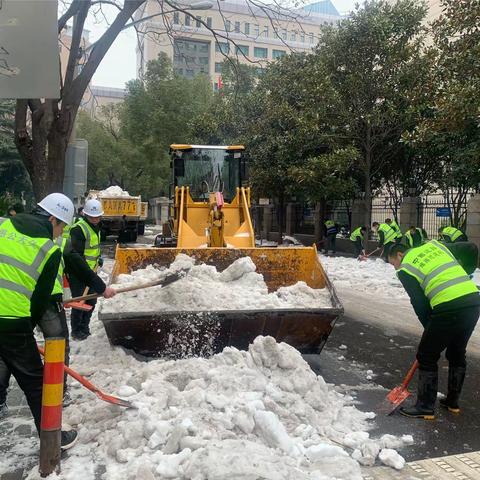 融雪除冰再行动，凝心聚力保畅通！