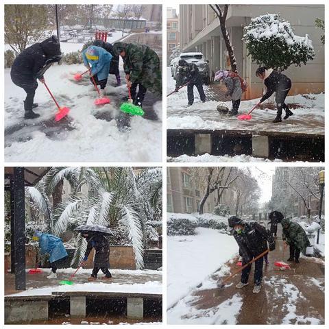 最美下雪天，最暖物业人——伟纶物业清雪行动