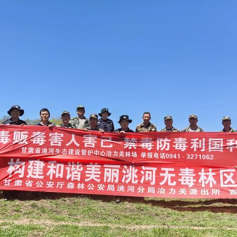 禁种铲毒不止步 全面踏查守净土——冶力关林场开展2024年禁种铲毒踏查工作