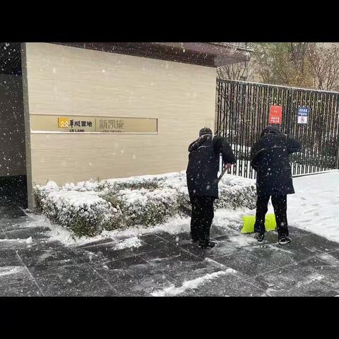 雪中情，铸忠魂—— 皇姑区房产局与物业企业 携手同心战冰雪