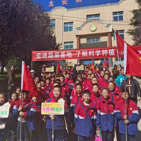 走进蔬菜基地，了解科学种植研学实践活动