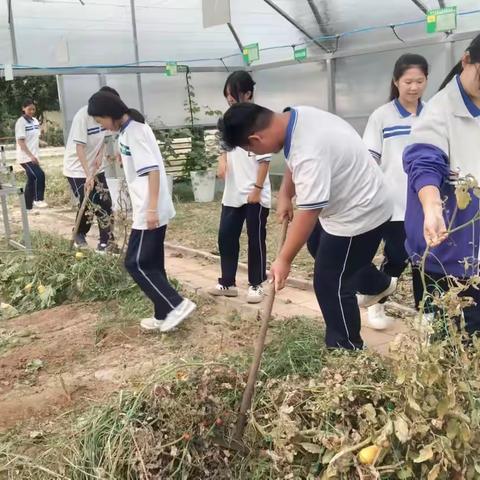 育人似江水，再次起征程 ---汶上县刘楼镇中学“志教融合”社团开展劳动基地除草活动