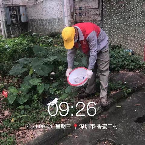 【深圳中亿远】【福田爱卫】莲花街道：2024年9月4日，日常组织病媒防治工作，控制四害密度，降低登革热传播风险