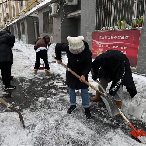 永清街道水岸春城社区2023.11.8