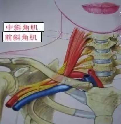 胳膊放射痛一定是颈椎病吗？