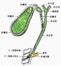 普外科腹腔镜那些事儿