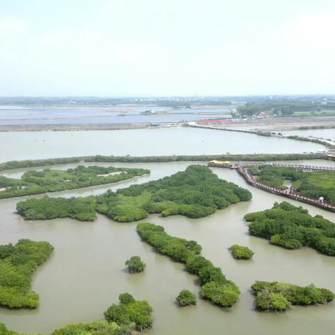 金牛岛红树林 品胜天鹅湖  螺丝岗小镇一日游