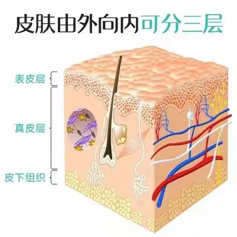 重庆高新区第一人民医院皮肤美容科的简篇