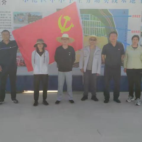 劳动实践活动纪实