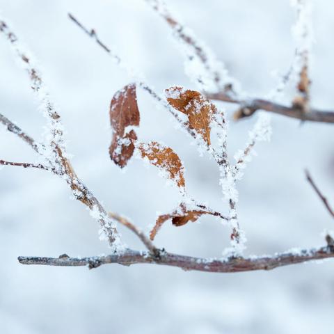 同心协力清积雪 ，家校真情暖人心！——第四小学全力开展扫雪活动