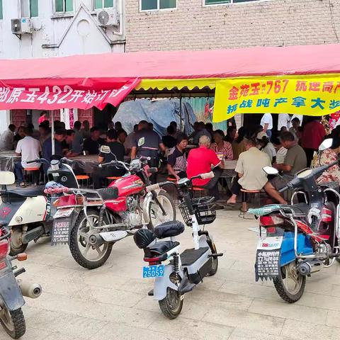 郑原玉432、棒博士767燃爆枣阳之——刘升镇定购会圆满成功