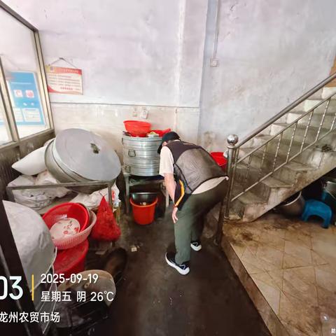 省协会完成定安县建成区及乡镇病媒生物防制效果评估工作
