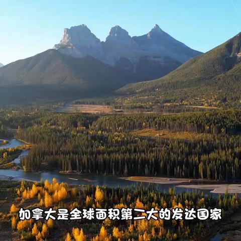 新西兰小中高留学